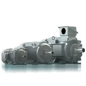 Industrial electric motor